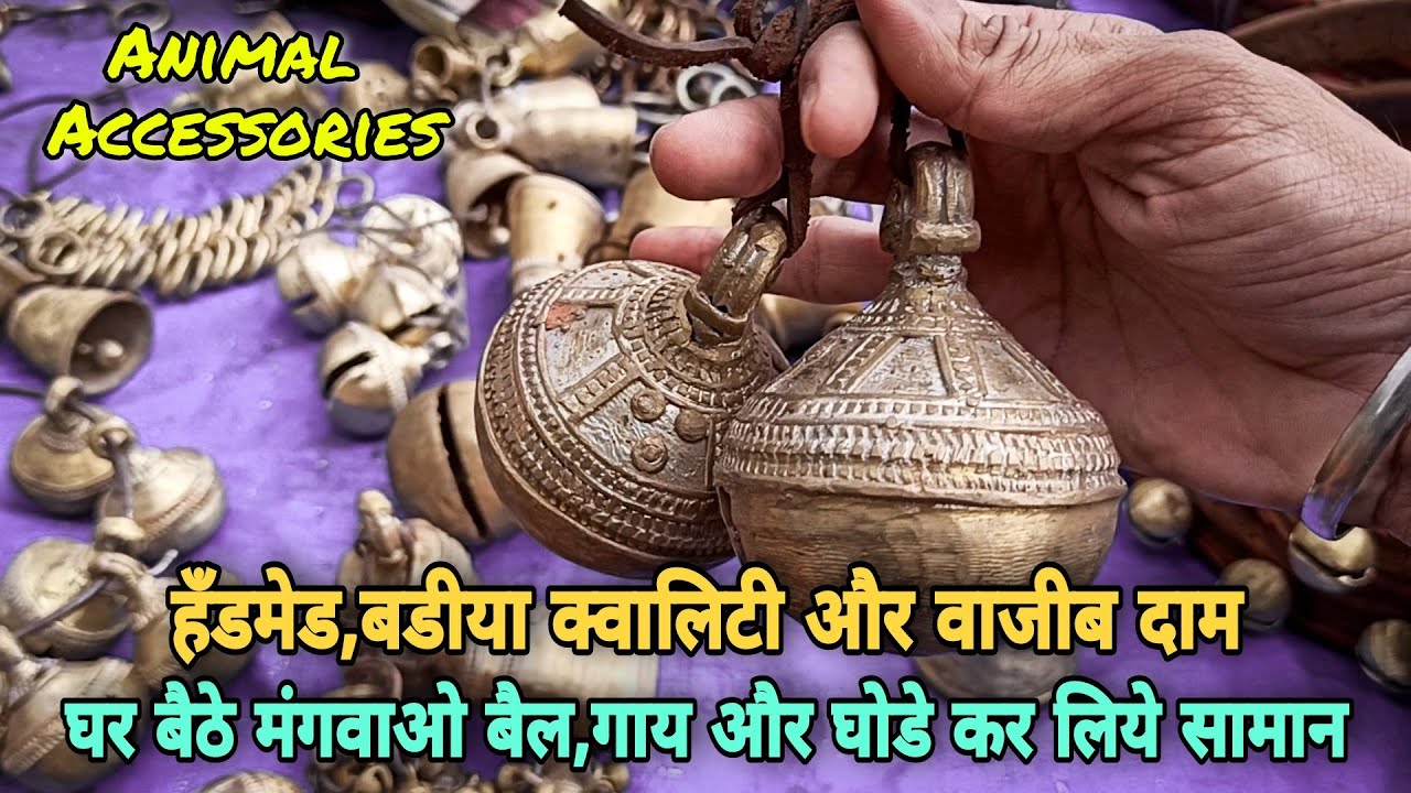 गाय,बैल और घोडो के लिये बडीया साज सज्जा के सामान।।आप भी घर बैठे मंगवा सकते हो।।Malegaon Pashu Mandi