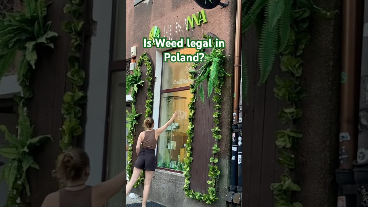 Poland sells Weed, Cannabis Openly! #shortvideo #weed #cannabiseducation #poland #gdansk #travelvlog