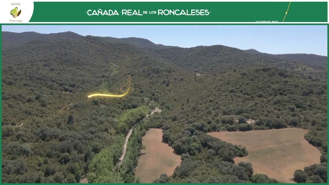 Cañada Real de los Roncaleses, la más antigua y consolidada de Navarra