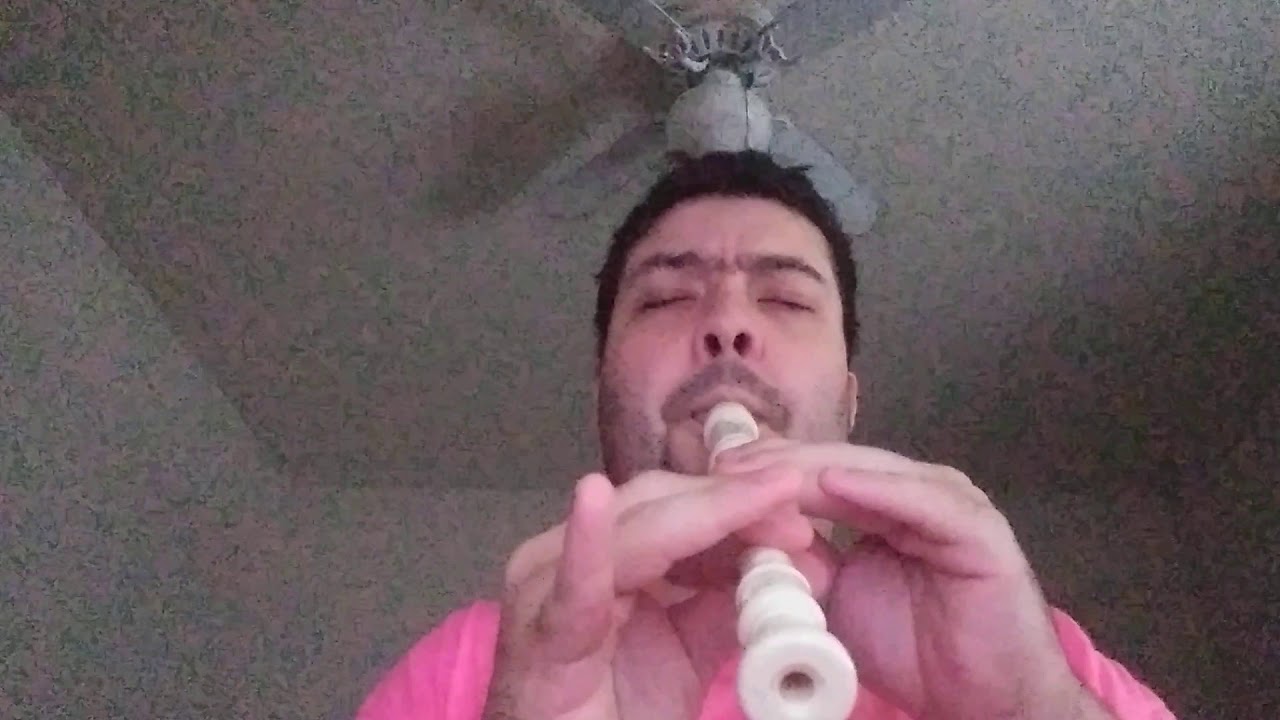 Undertale - Megalovania flute cover (recorder) na flauta doce