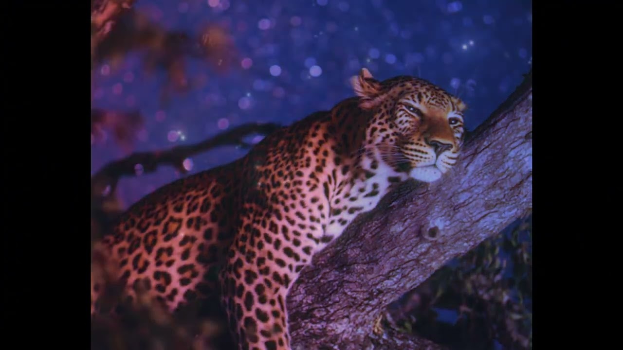 m:sss - Ambient, Drums and I [romantic & trippy]