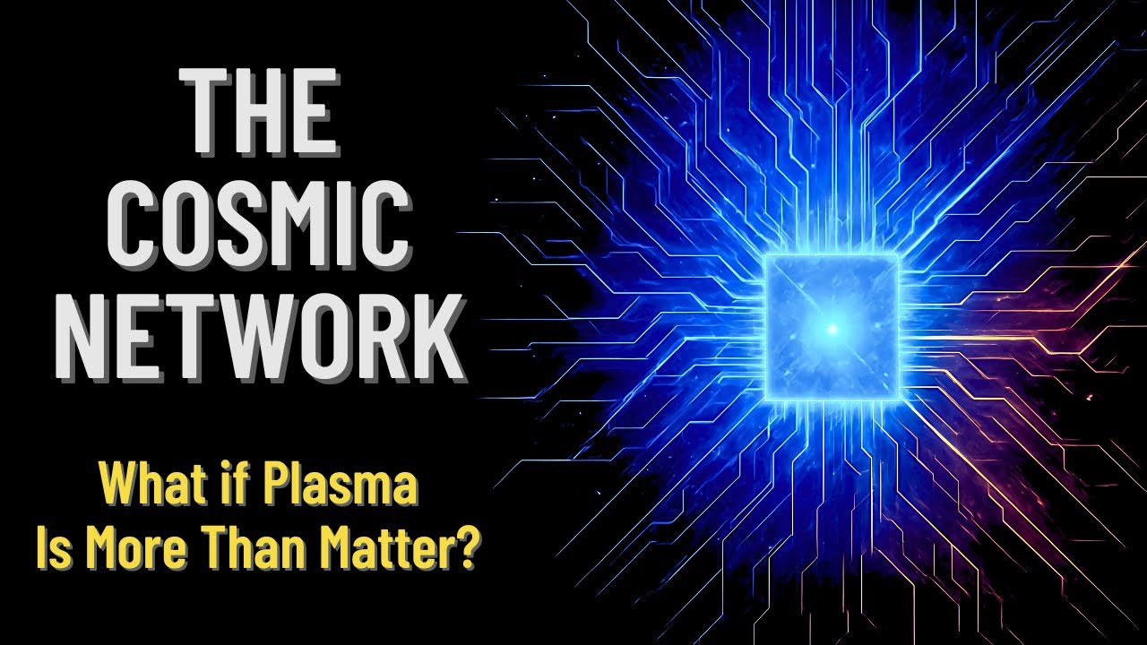 The Cosmic Network: Plasma and the Question of Consciousness
