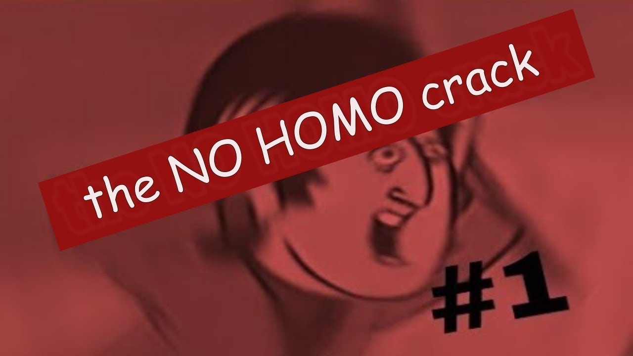 the NO HOMO beatles crack #1