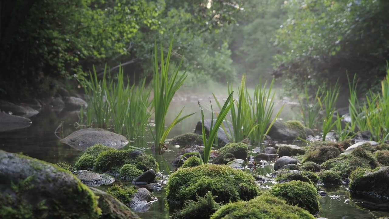 FOGGY SPRING EDIT
