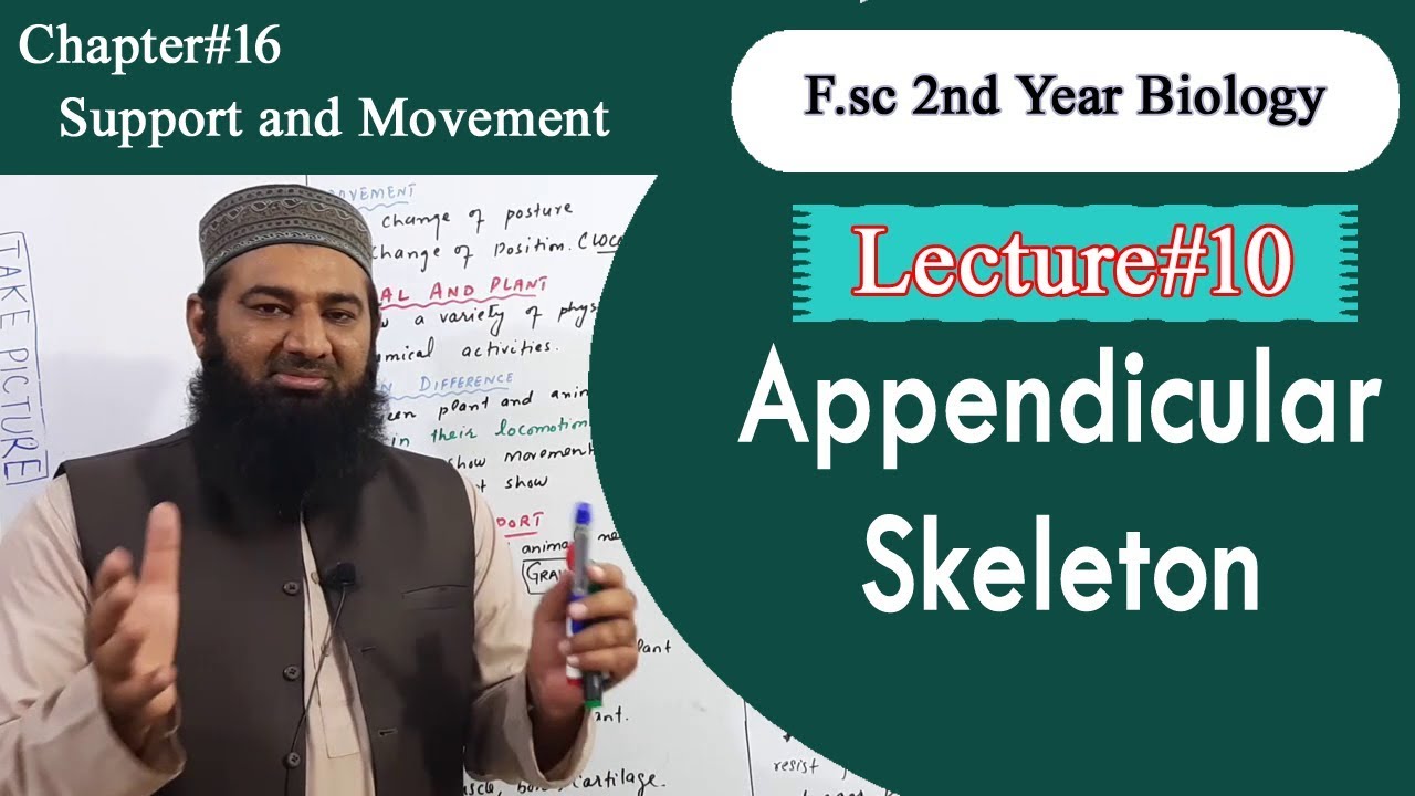 Biology Ch#16-Lecture#10 Appendicular skeleton  (F.Sc  2nd Year)