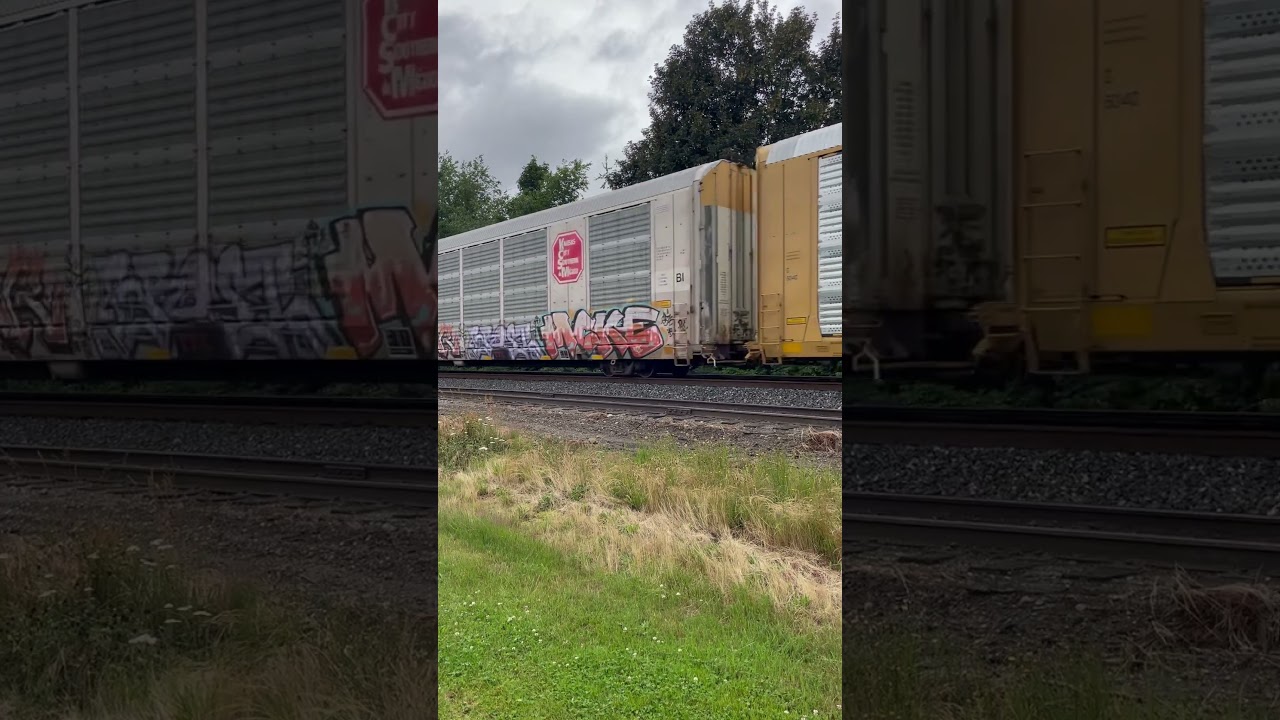 CN ES44AC mixed load train Agassiz BC June 27, 2025 Part 3