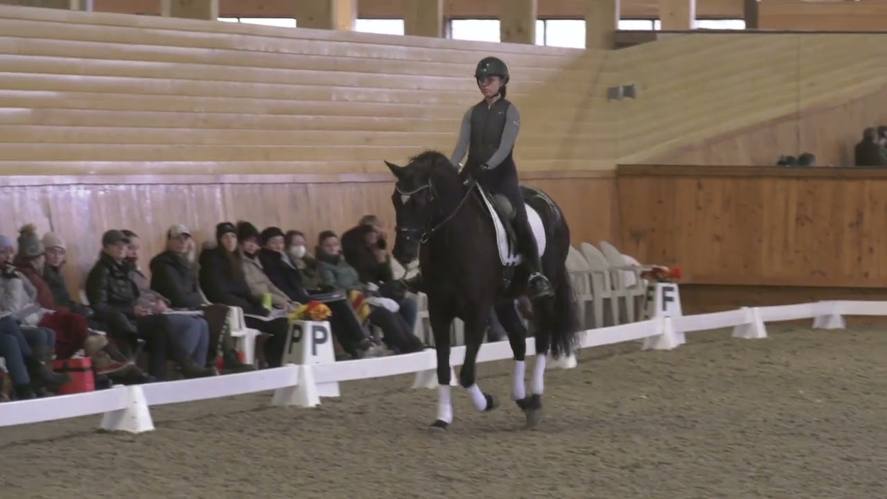 Janet Foy Dressage Clinic 1/14/2023