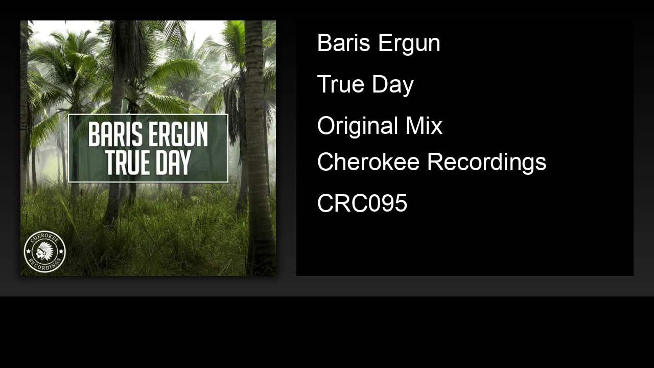 Barış Ergün - True Day (Original Mix)