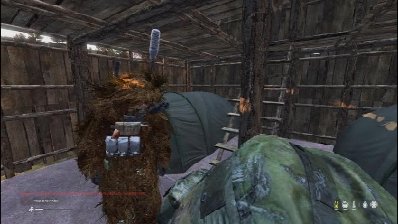 DayZ