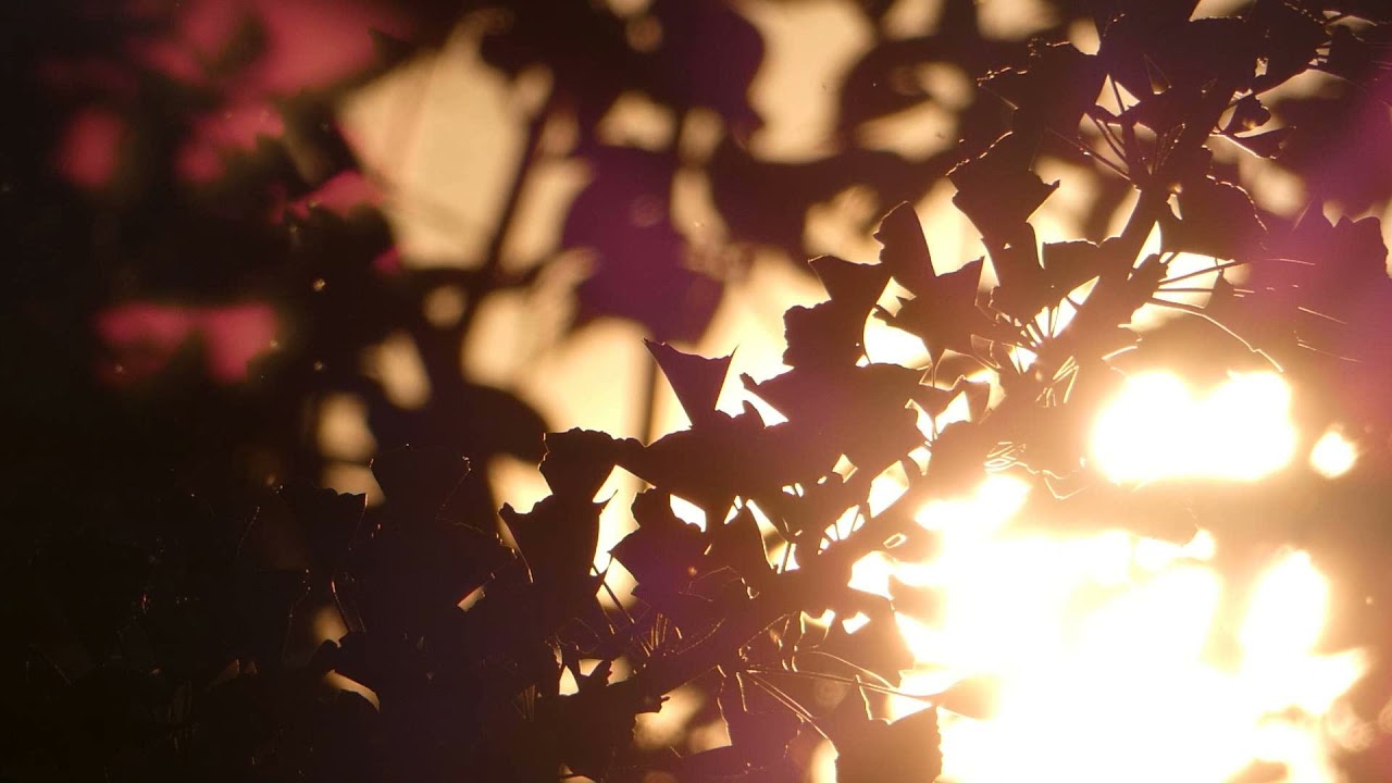 Herbert Leonard - Pour la première fois