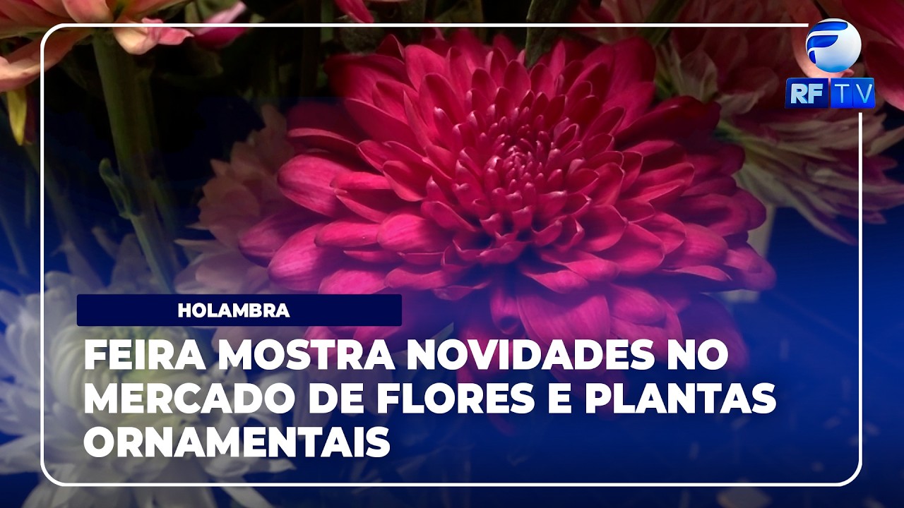 RF News - 31ª edição do Veiling Market apresenta tendências do setor de flores e plantas em Holambra