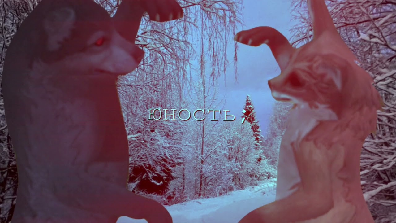 wcmv: время уже четыре