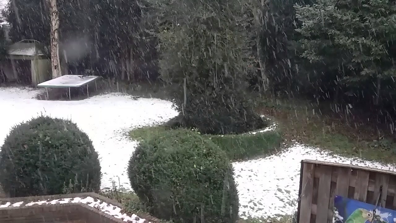 Sneeuw timelapse Aarle-Rixtel 10-12-2017