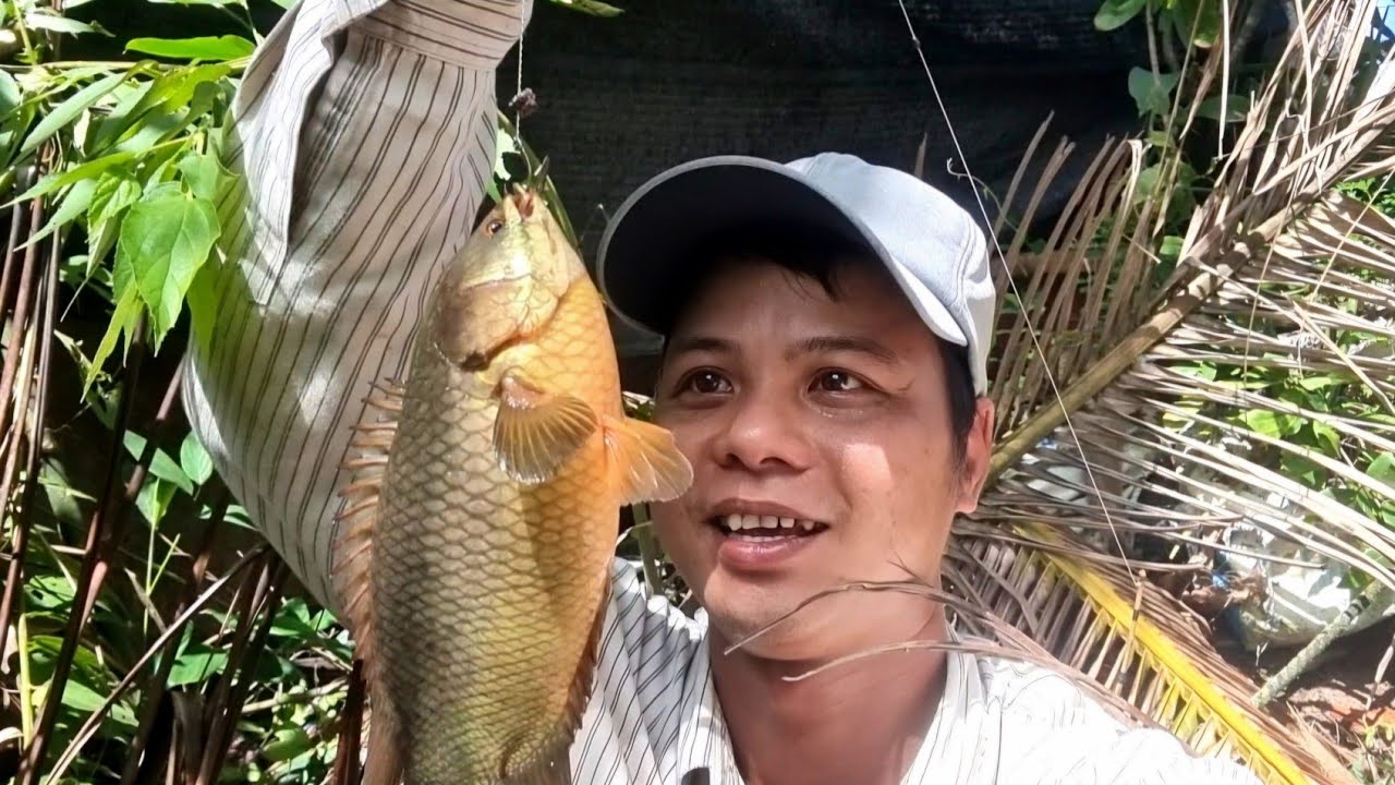 Tập 61 - Giật Đã Tay Với Mấy Ổ Cá Này Rồi, Tiếp Tục Trúng Cá Rô Khủng | Câu Cá Rô Đồng