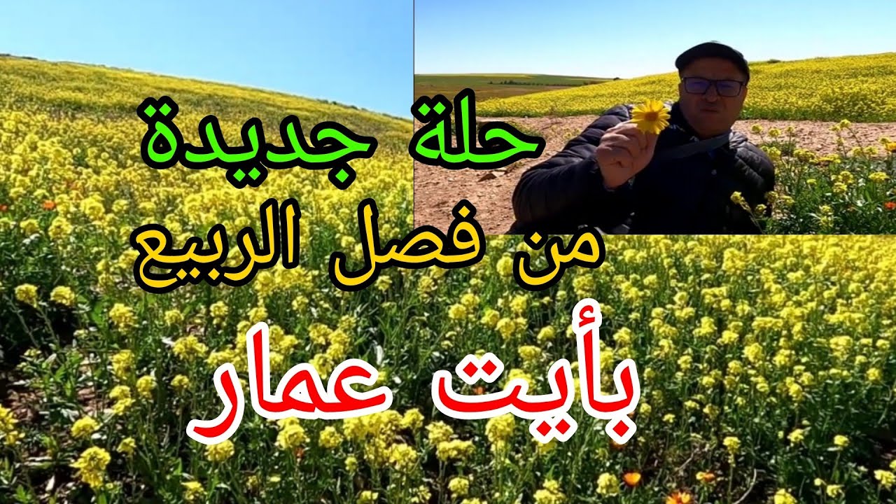 حلة جديدة من فصل الربيع بأيت عمار