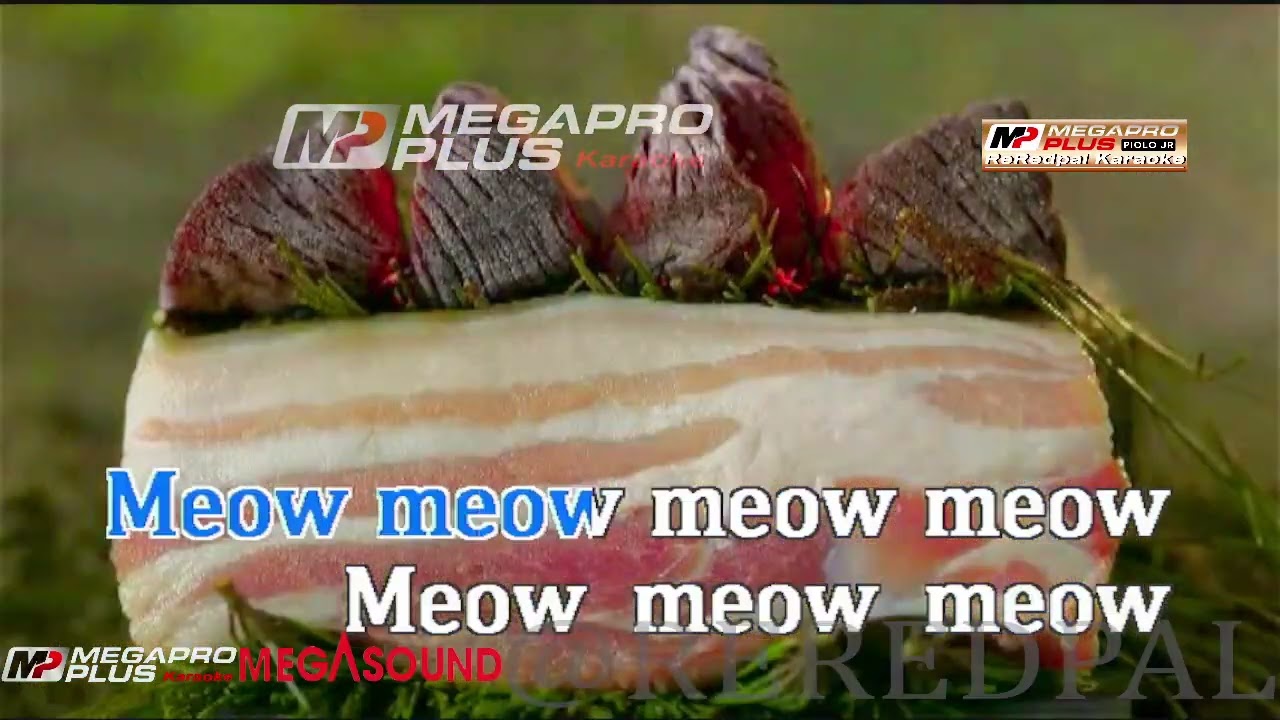 Meow Meow Meow Meow - Meow Meow || Megapro plus midi karaoke 