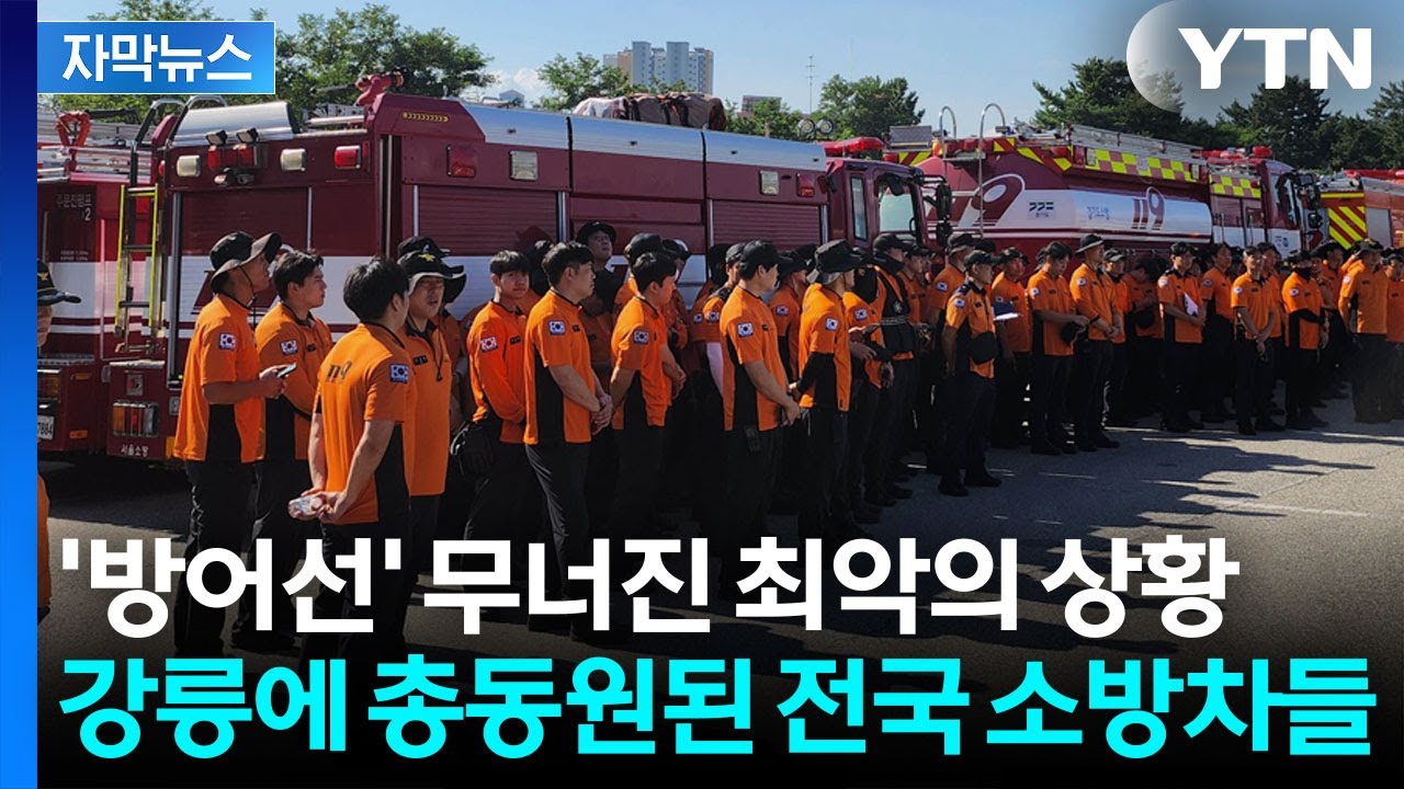 [자막뉴스] 