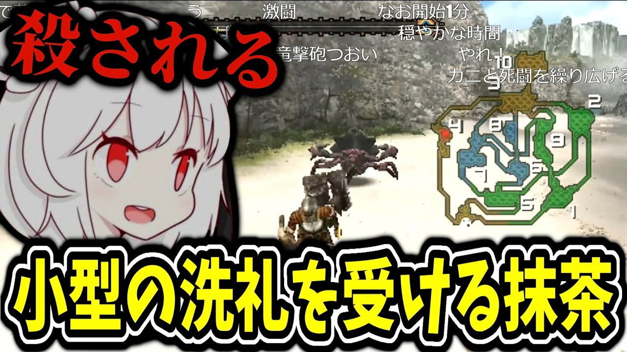 【MHP2G】しっかりと過去作品の小型モンスターの洗礼を受けていく抹茶【2024/10/14】