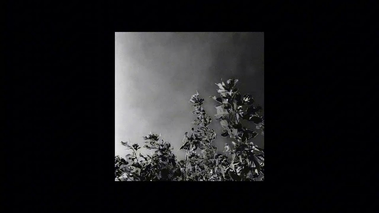 (FREE) Jungle Jack x Keroué x JeanJass Drumless Type beat - 'Rarissime'