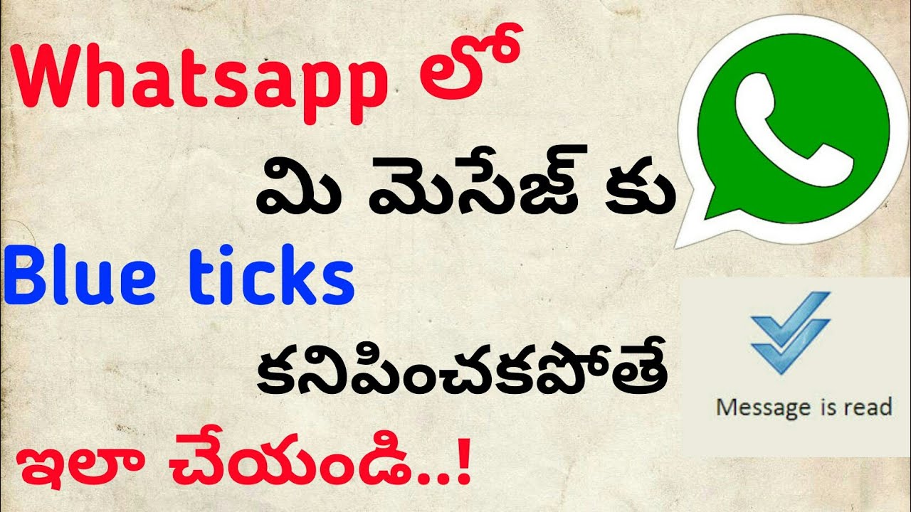 How to Solve Whatsapp Blue ticks Problem | in Telugu | by NSR Logical world