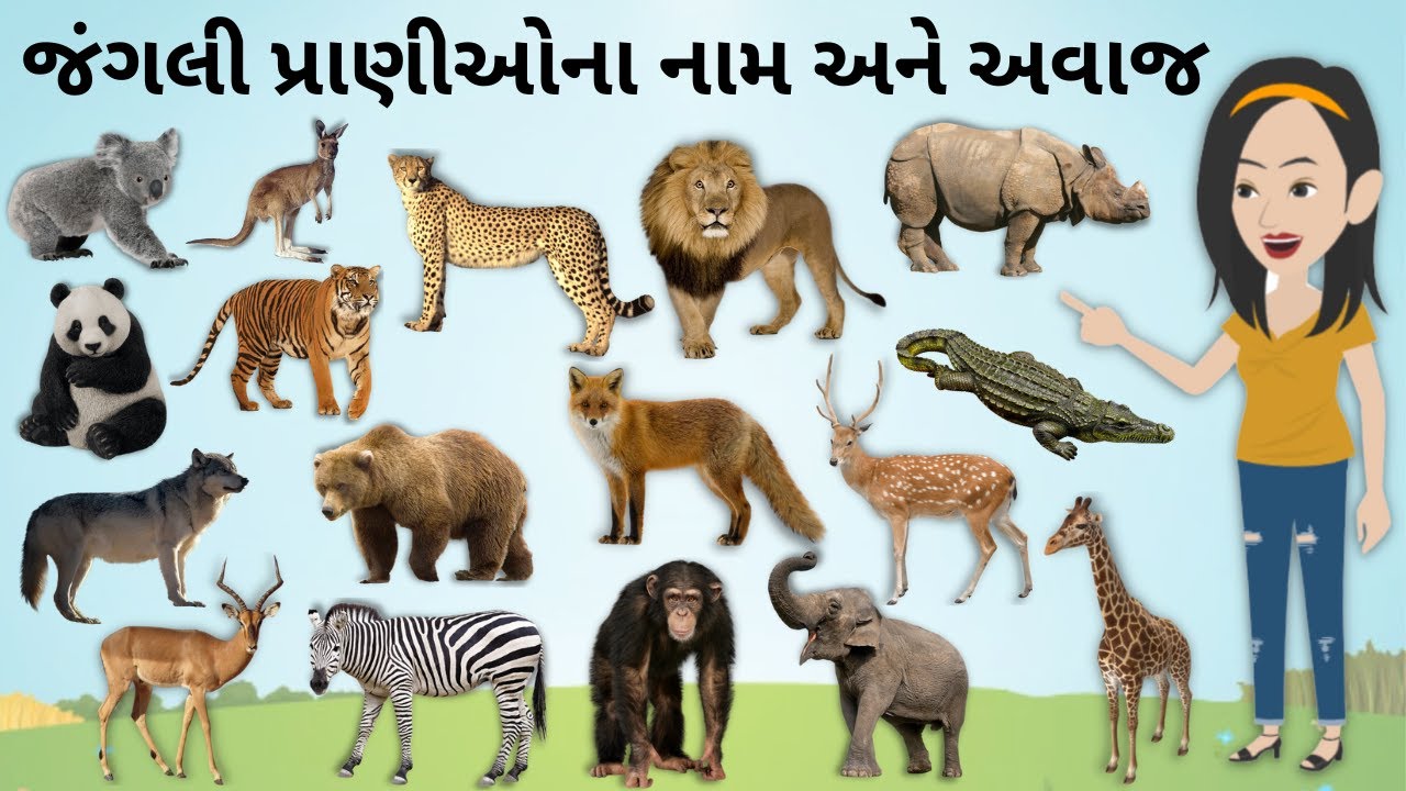 જંગલી પ્રાણીઓ ના નામ અને અવાજ |  Wild Animals Name And Sound | Jangli Pranio na name & avaj|KidsTube