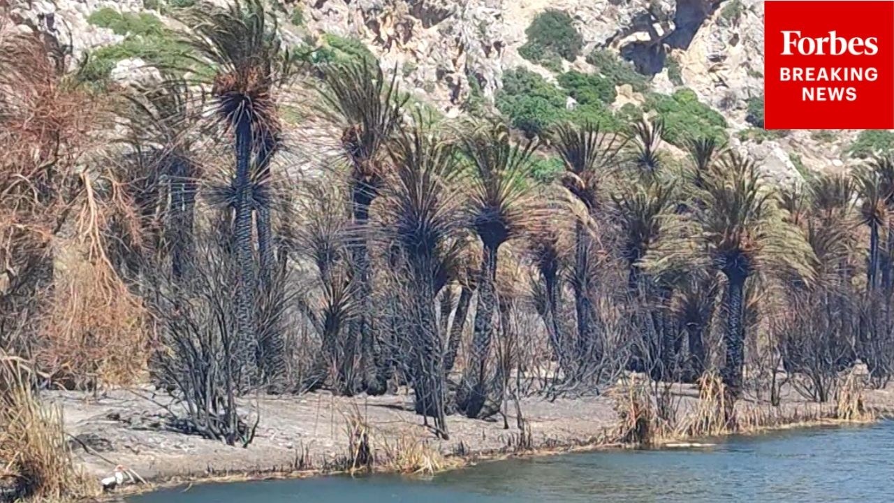 Greece Recovers From Wildfires Across Island Of Crete