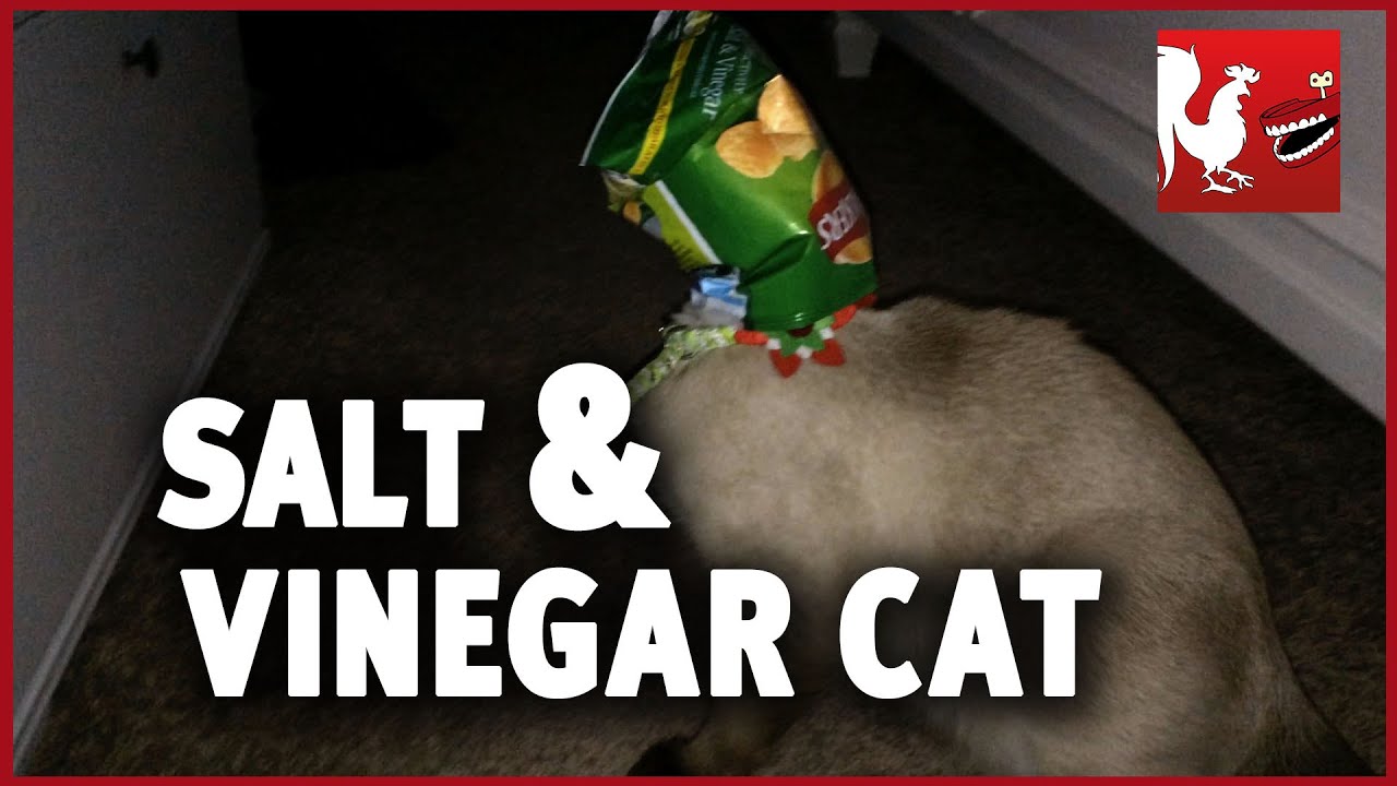 Happy Hour #19 - Salt and Vinegar Cat | Rooster Teeth