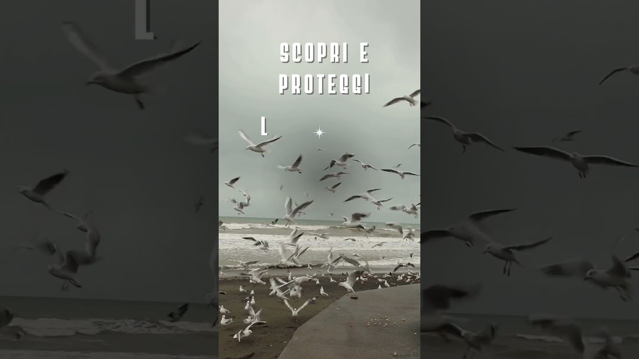 Ammira la bellezza della natura