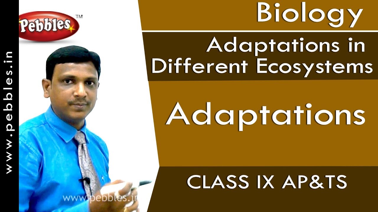Adaptations : Adaptations in Different Ecosystems | Biology | Class 9 | AP&TS