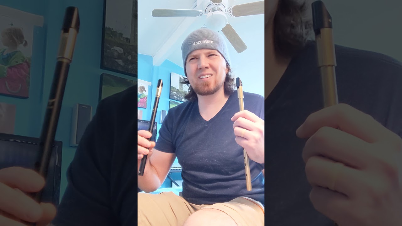 McNeela Wild Irish Soprano D Whistle vs. Killarney Brass