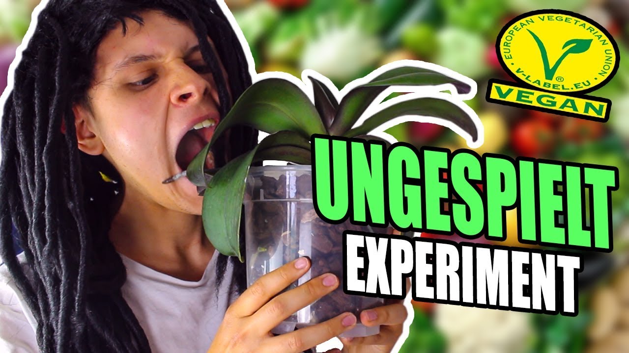 24 STUNDEN wie UNGESPIELT ESSEN und LEBEN😧☘️ - EXPERIMENT(Vegan)