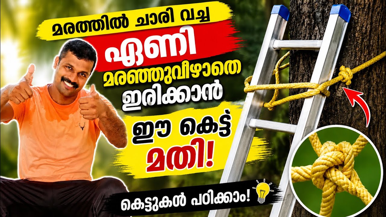 ഏണി മറഞ്ഞു വീഴാതിരിക്കാനുള്ള കെട്ട്/ കെട്ടുകൾ പഠിക്കാം/ kayarkettukal