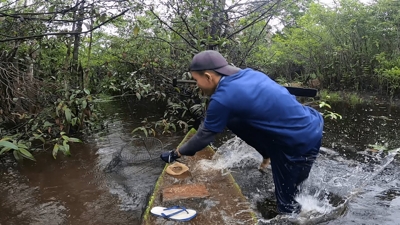 DETIK-DETIK KARAMNYA SAMPAN AKIBAT MONSTER 14KG DAN SERANGAN IKAN-IKAN BESAR !!