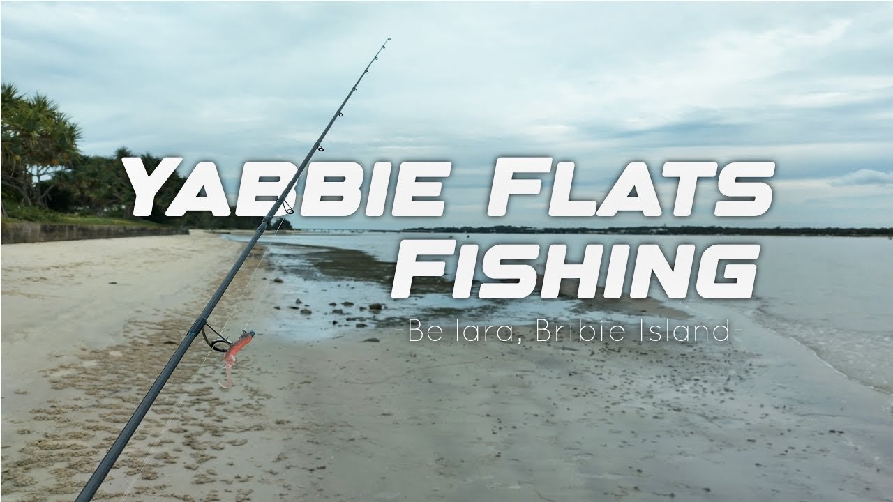 Исследование и рыбалка на острове Бриби, Ябби-Флэтс - Daiwa Bait Junkie Risky Critter Soft Plastic