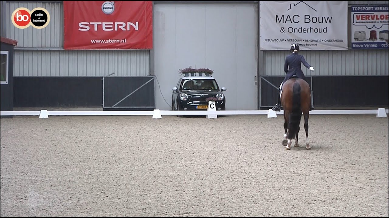 Dressuurevenement voor amateurs en proffesionals in Hillegom