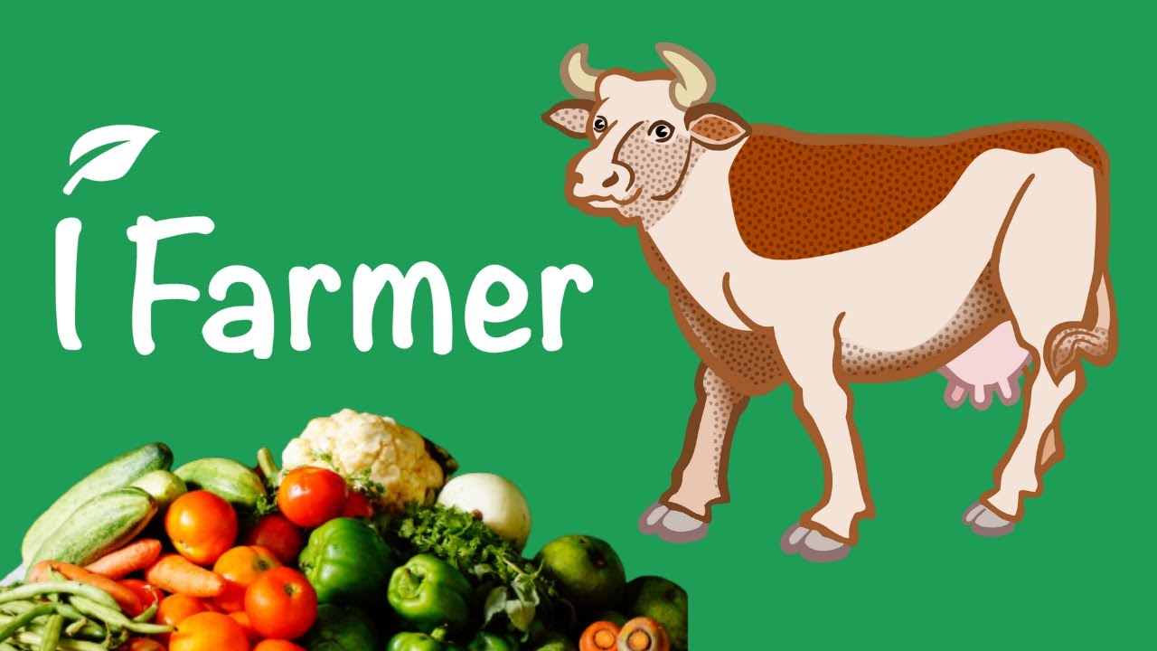 iFarmer A - Z Explained | Finance Tian