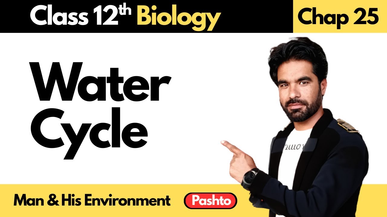 Water Cycle | Class 12th Biology | Chapter 25