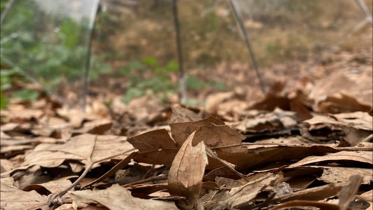 الجـ ٣ ـزء الثالث من اليوم الثالث في ربيع الاردن 2024