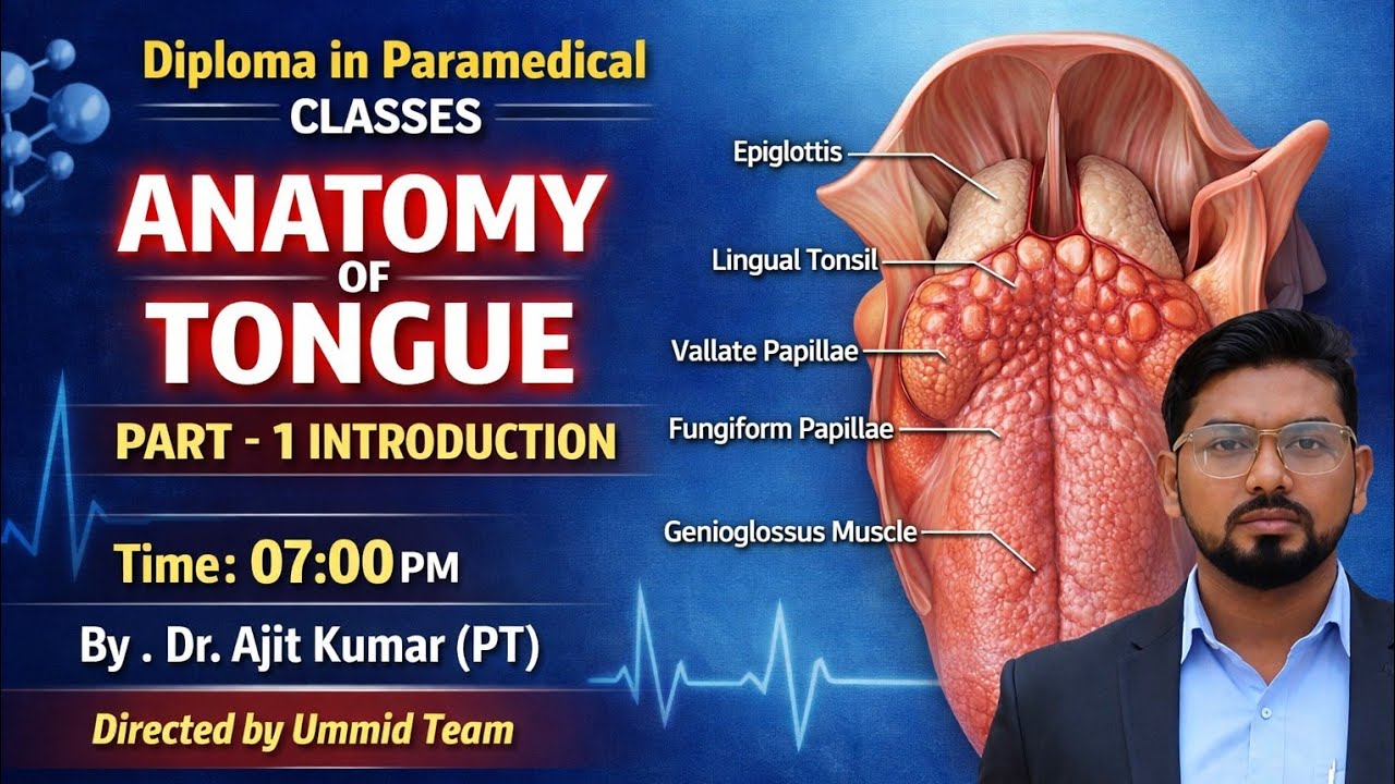 PARAMEDICAL SOLUTION HUB is live!