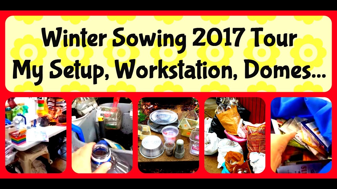 Veggie Winter Sowing - My Workstation Setup, Domes, Containers, Supplies ...