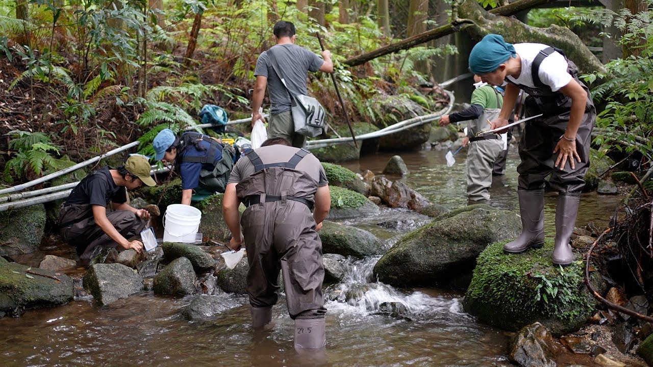 [Sustainable Action #3] 島の生物多様性を保全したいっ！ 水圏生物調査プロジェクトがスタート