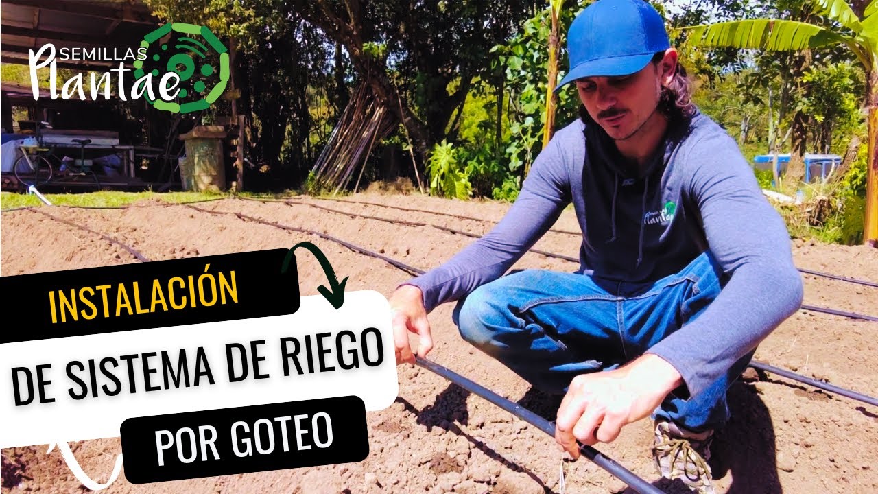 Instalación de sistema de riego por goteo