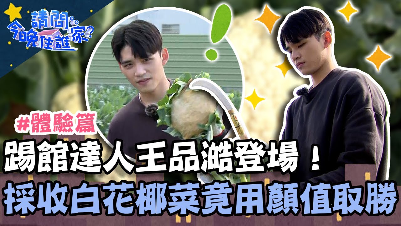 踢館達人王品澔登場！採收白花椰菜竟用顏值取勝？【請問 今晚住誰家】體驗篇 20230227 EP703 Part1 竇智孔 黃鐙輝