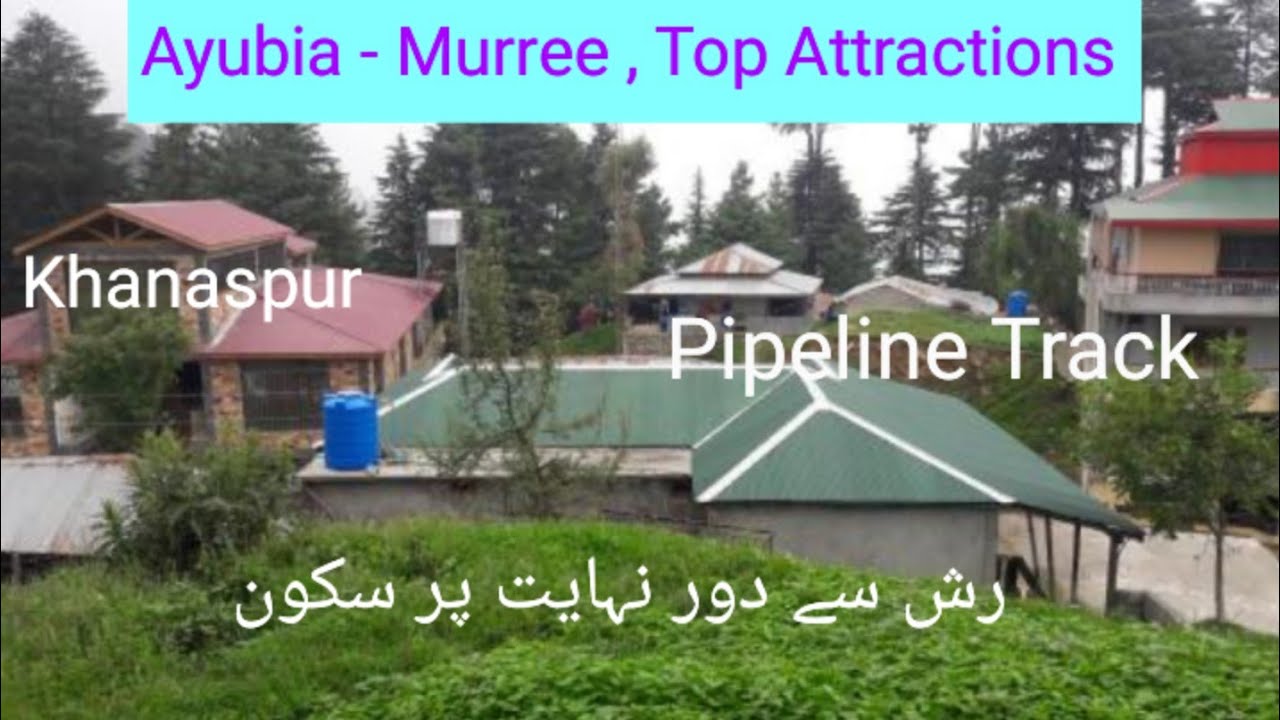 Khanaspur Ayubia // Best Place For Family Tours// Beauty of Galiyat 