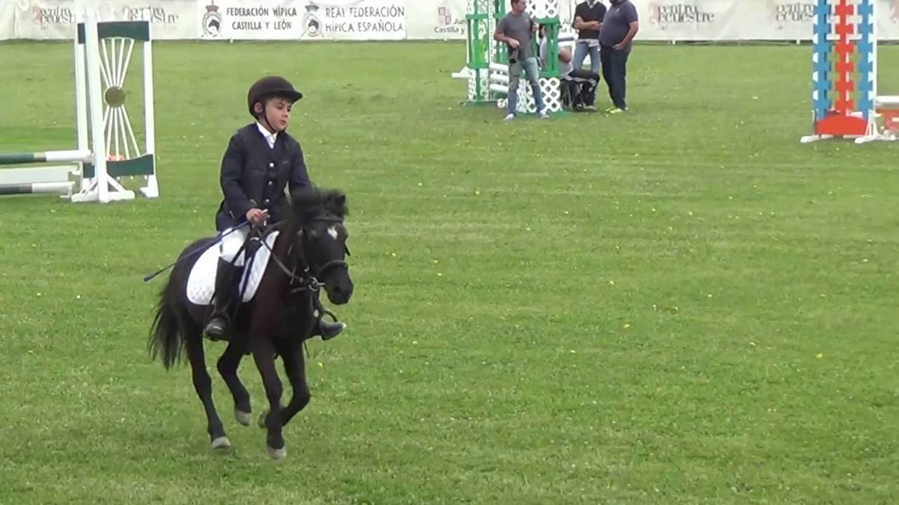 Ponis A - 1ª Calificativa de Salto. Alejandro y Botón