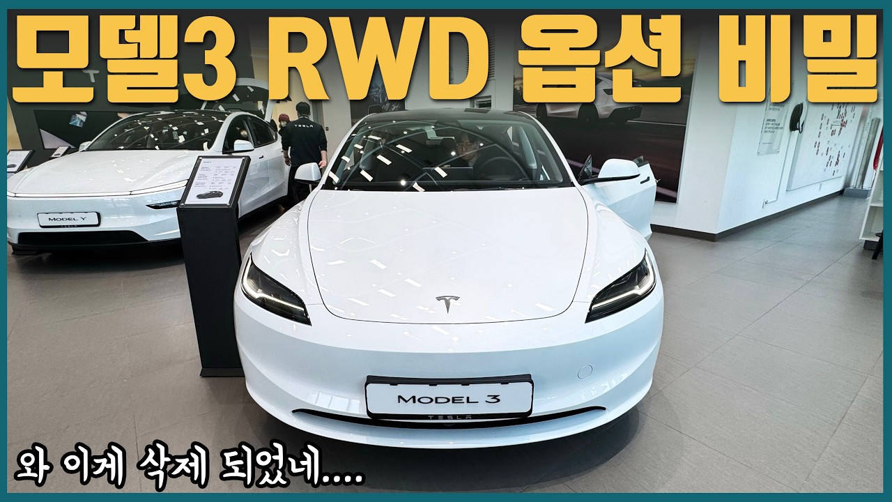 어드바이저도 안 말해주는 모델3 RWD 삭제 옵션 | 모델3 스탠다드