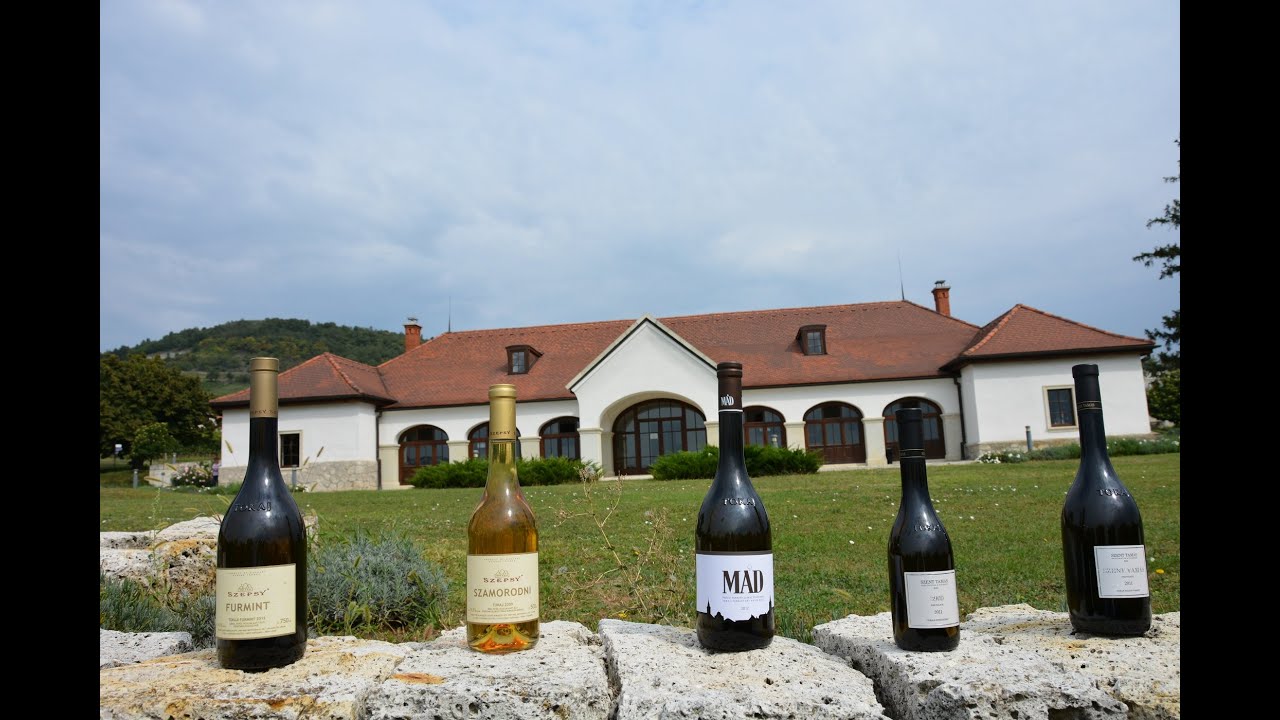 Come With Me To Hungary - the Tokaj Wine Region