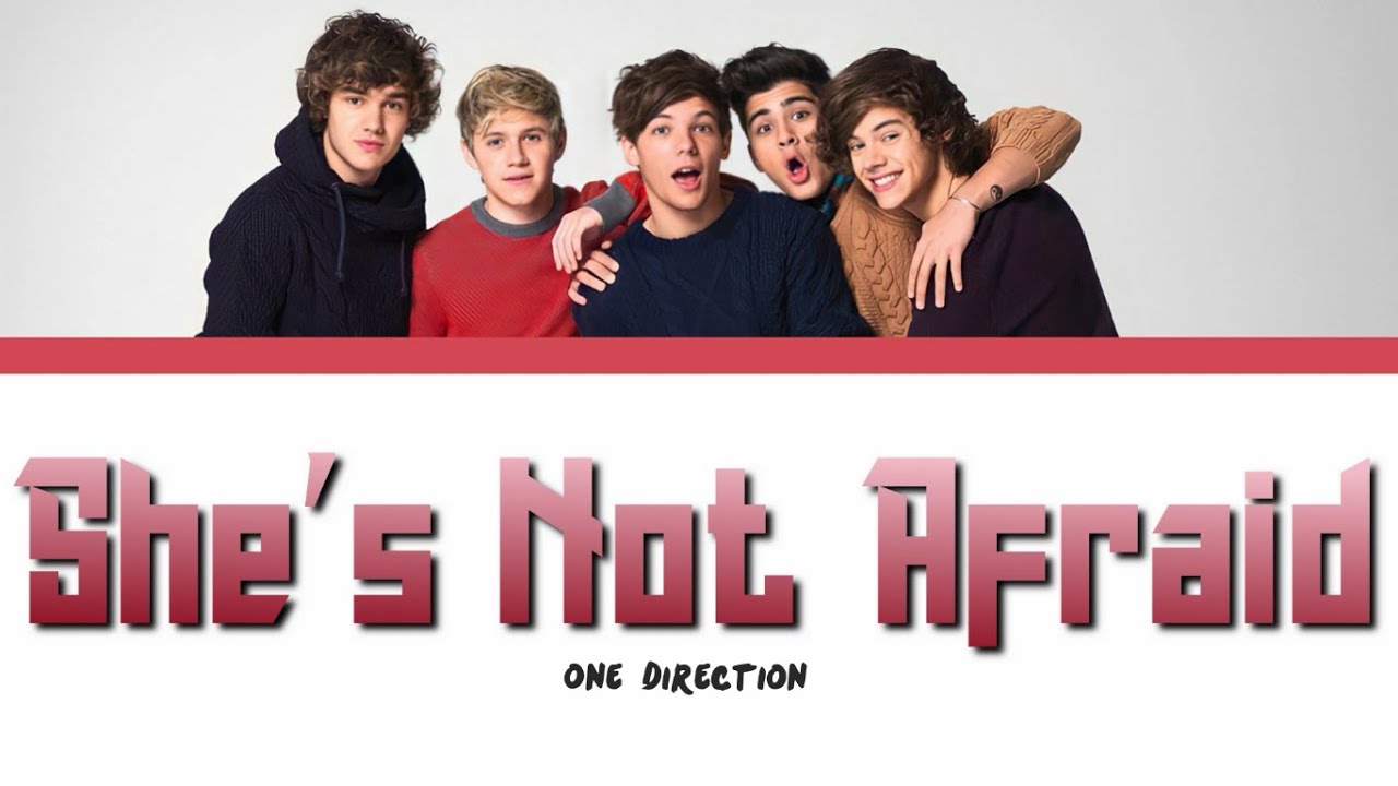 ONE DIRECTION - SHE'S NOT AFRAID lyrics (Color Coded)