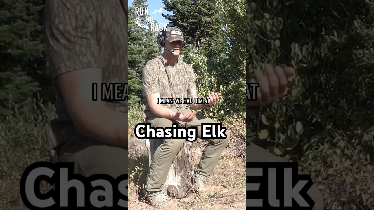 Close encounters chasing elk in Idaho⬆️🔉 