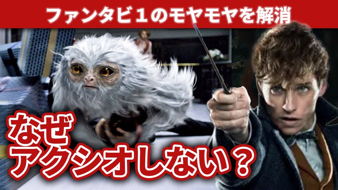 【素朴な疑問を解決】ファンタビ１がもっと面白くなる話５つ【解説・小ネタ】